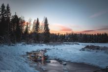 Kaupunkipuron yläosa