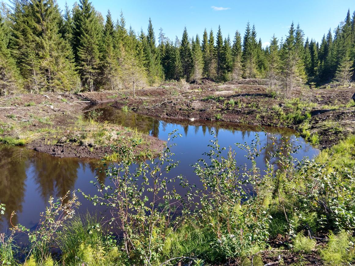 Äkkilän kosteikko