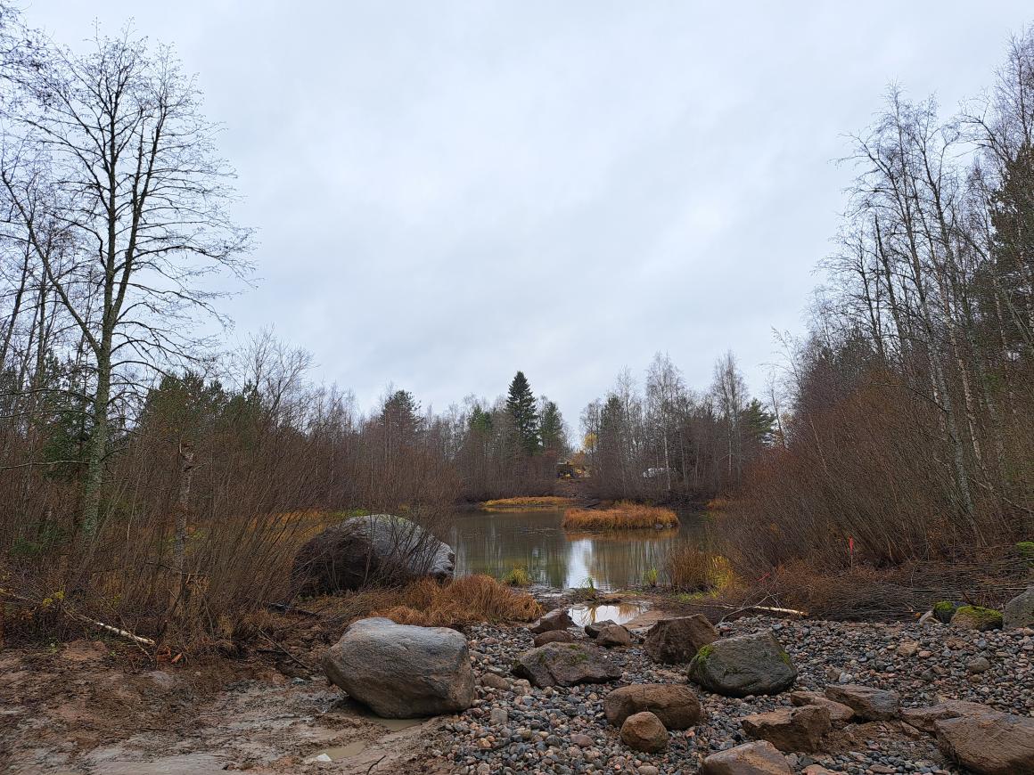 Näkymä lampareelle Hamarintieltä.