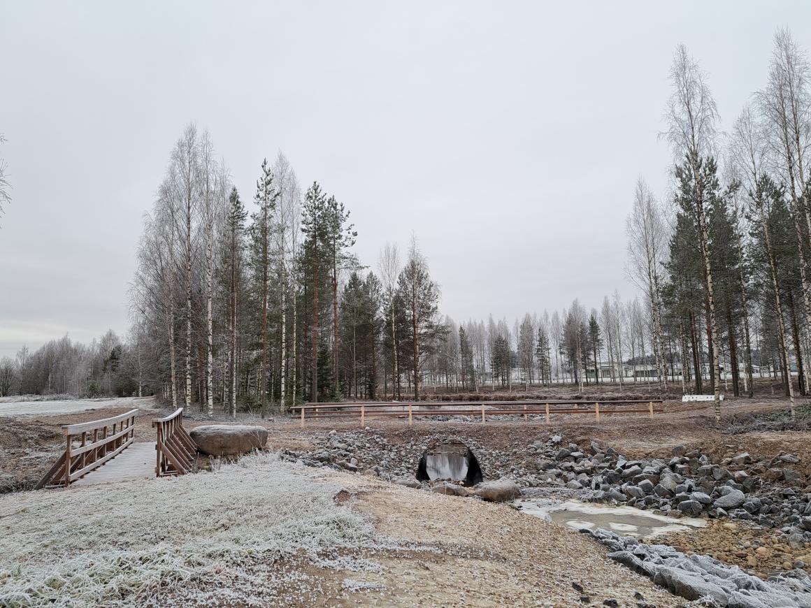 Pyöräilytien rumpusilta ja puurakenteinen kävelysilta