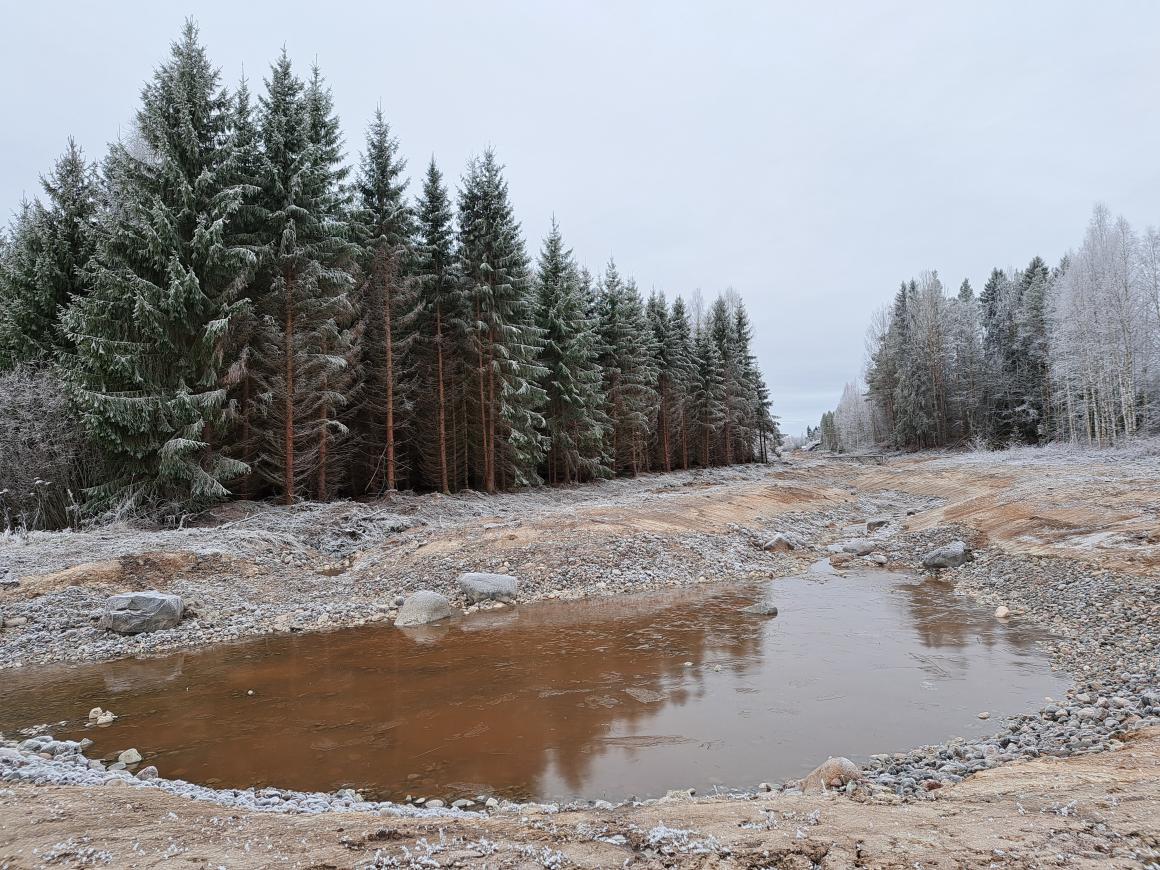 Syvempi allasmainen osuus kaupunkipuron yläosalla.