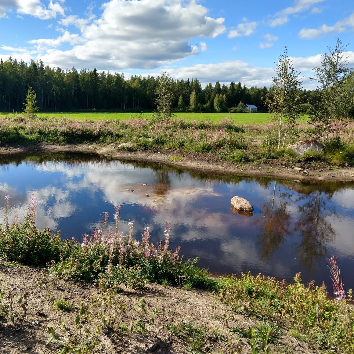 Liejupintainen saari