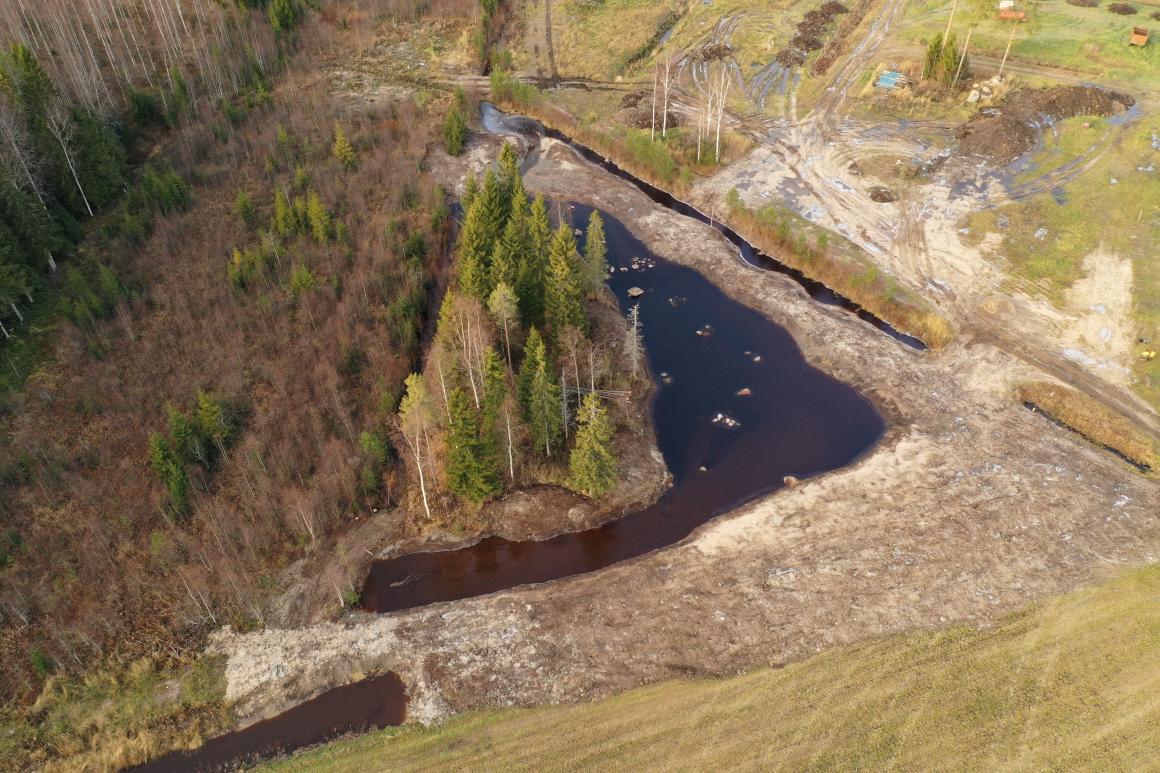 Kuva Koivuniemen pienkosteikosta