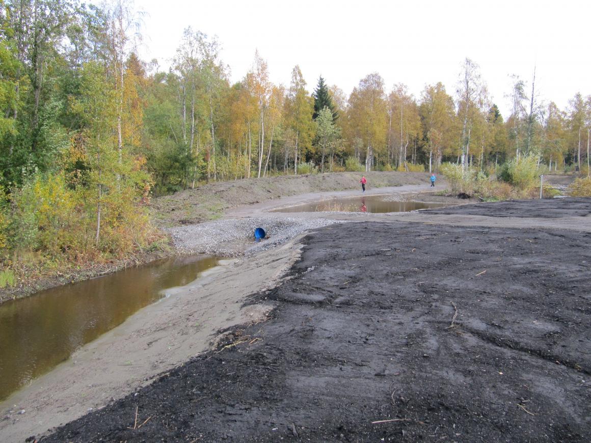 Lenkkeilijät kosteikolla