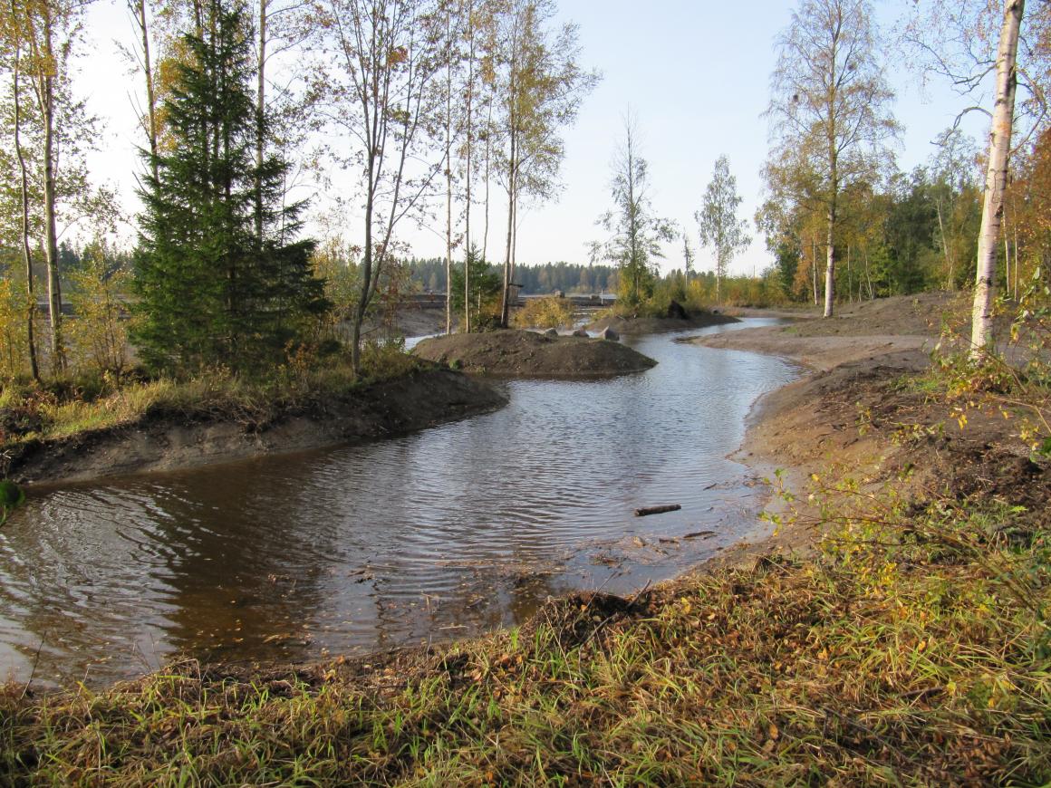 Hulevesikostiekko syksyn väreissä