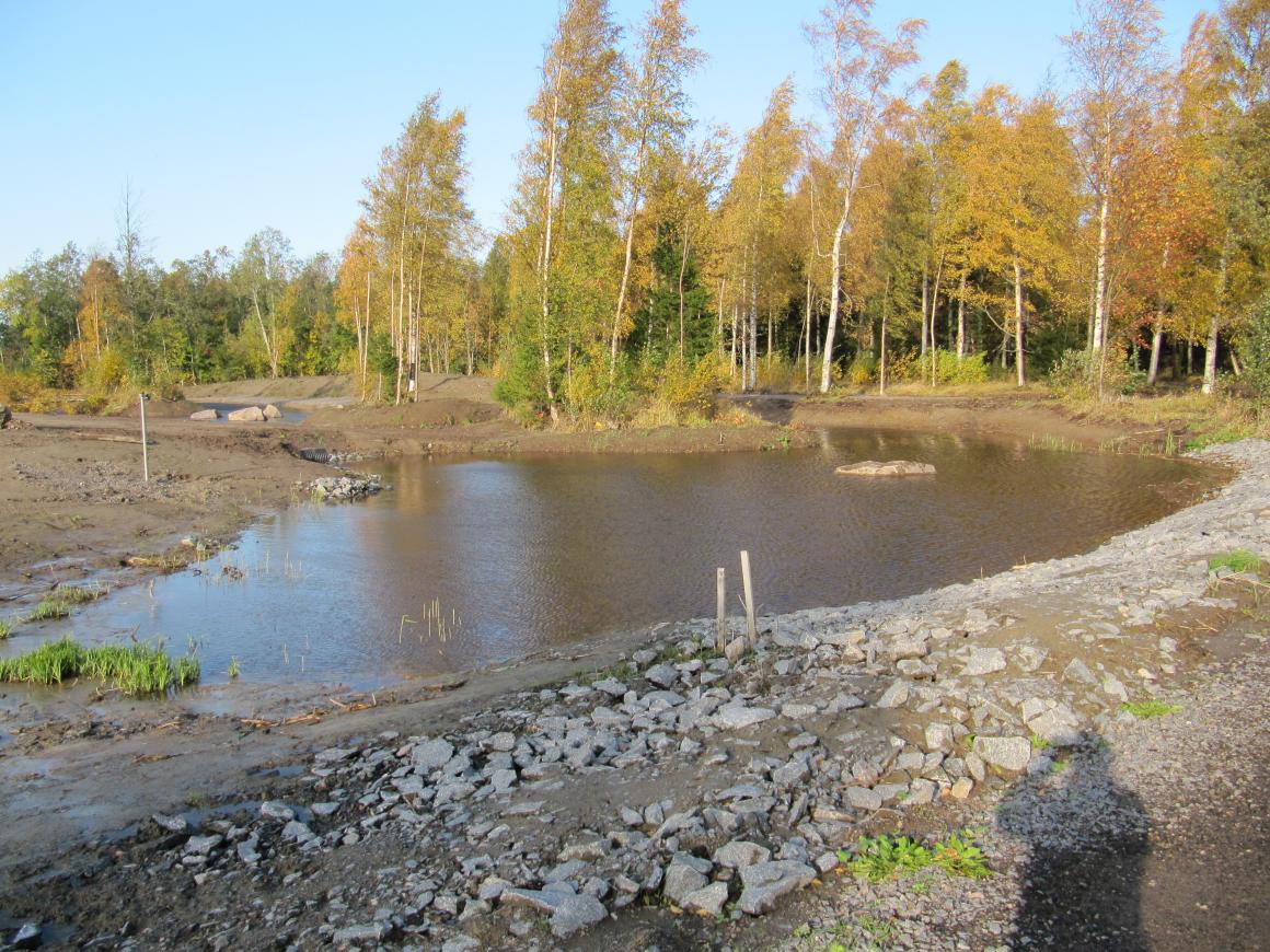 Hulevesikosteikon yläpää