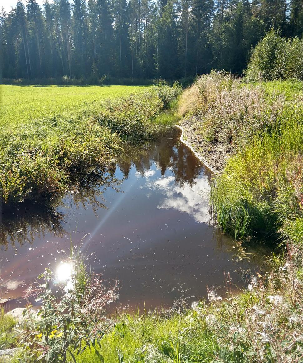 Laskeutussyvänne