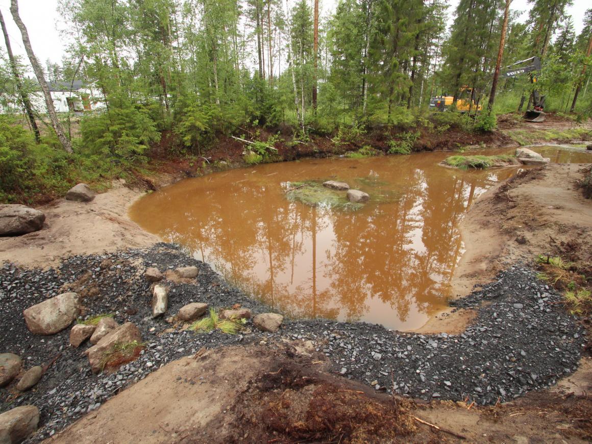 Läntinen kosteikko purkupäästä päin