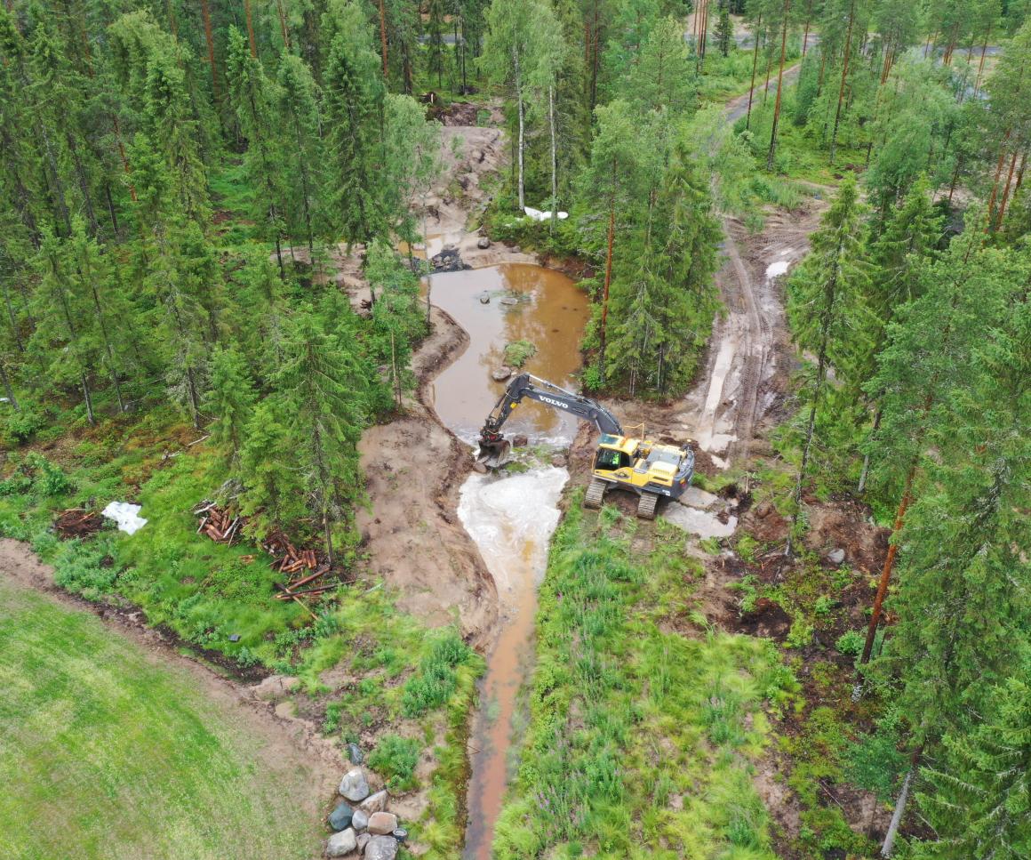 Läntinen kosteikko etelästä käsin