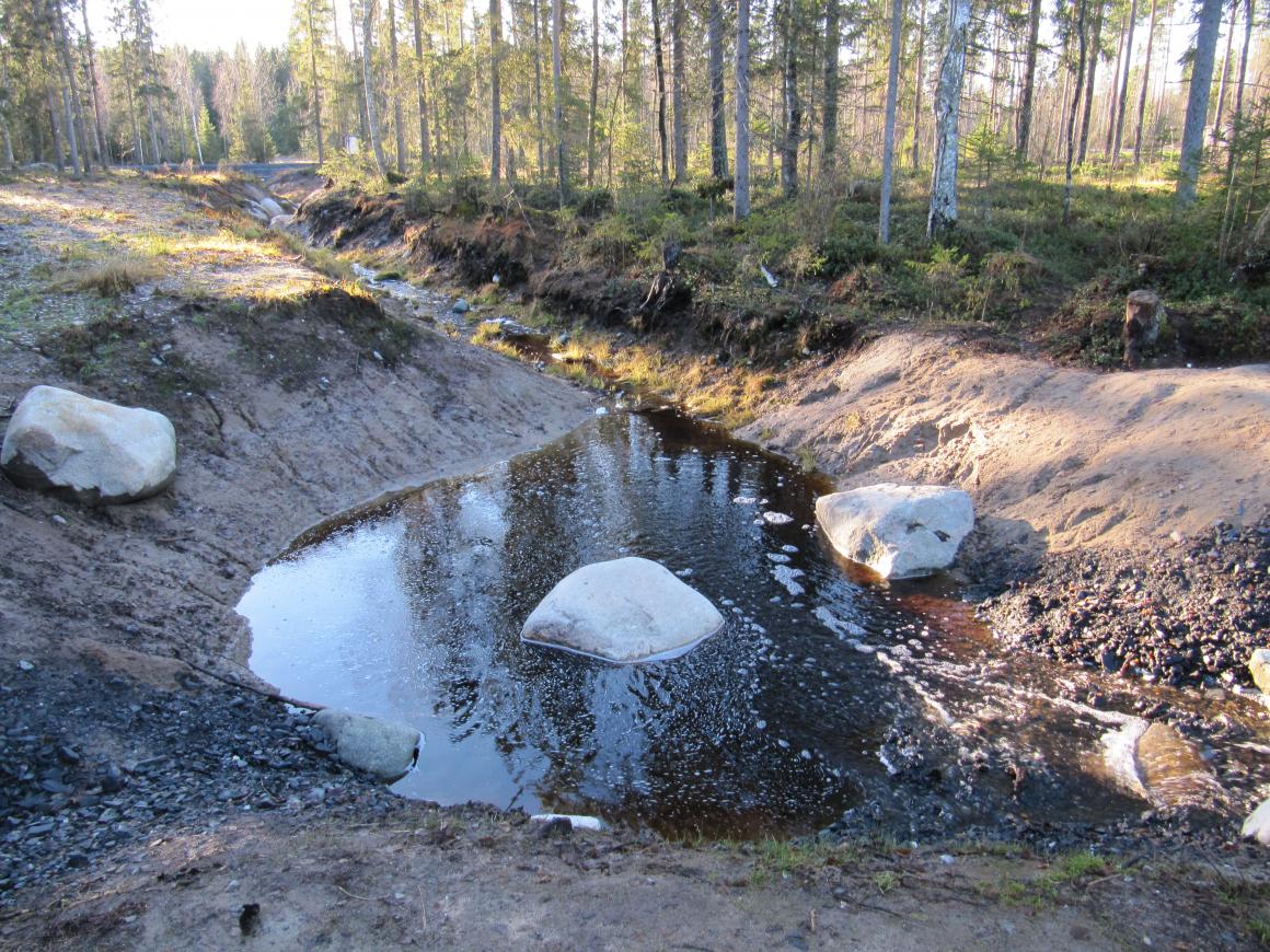 Lähtöuoma