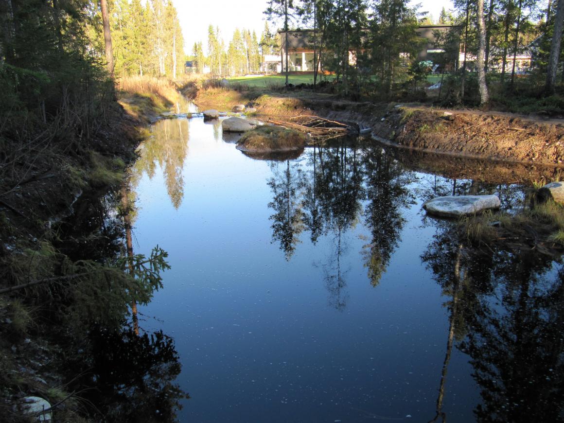 Läntinen kosteikko