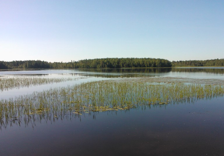 Järvimaisema