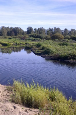 Kosteikko.