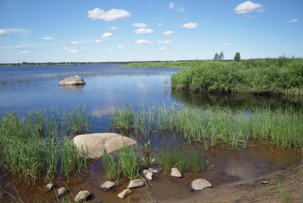 Maisema Kiusaanjärvestä.