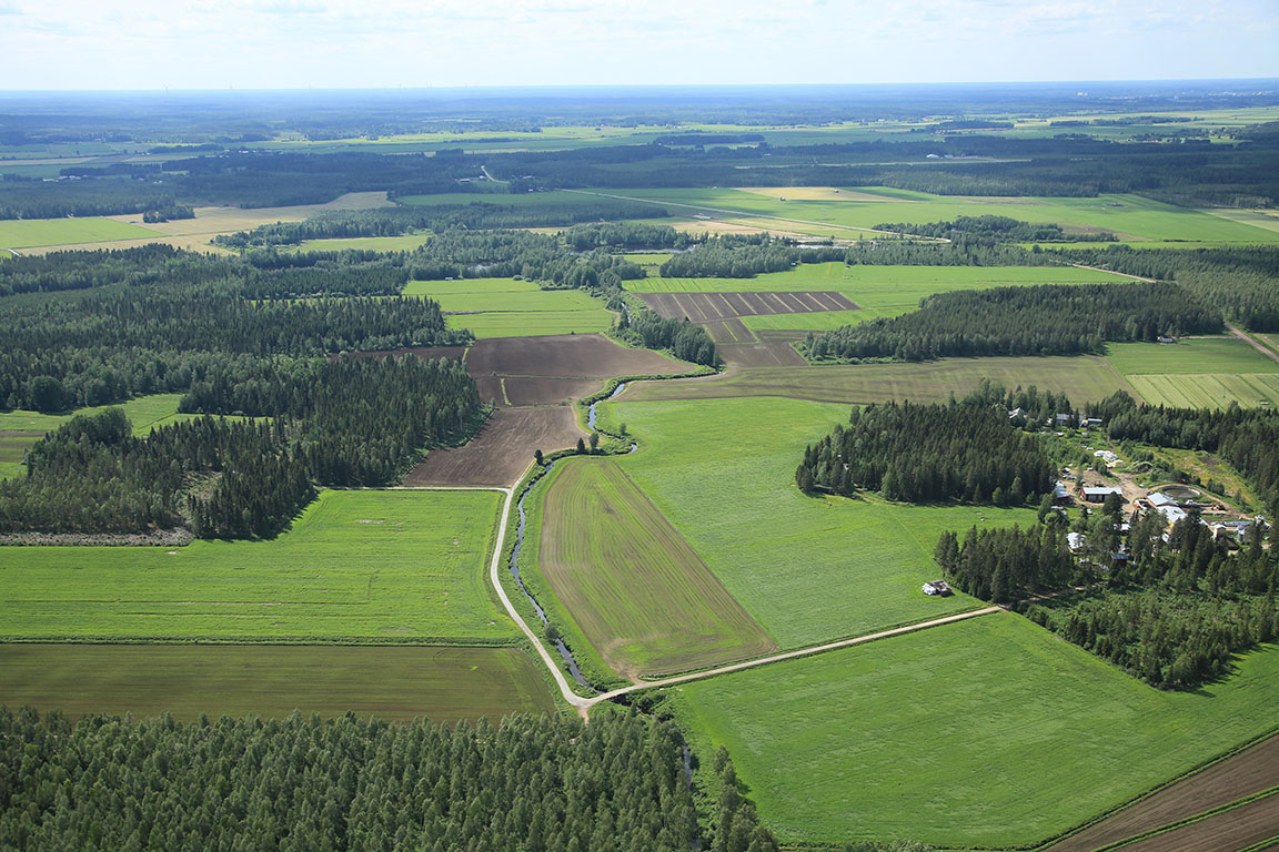 Pylväsoja 2021