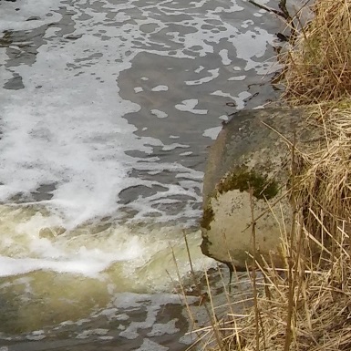 Puhdistamon purkuputki.