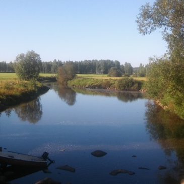 Maisema.