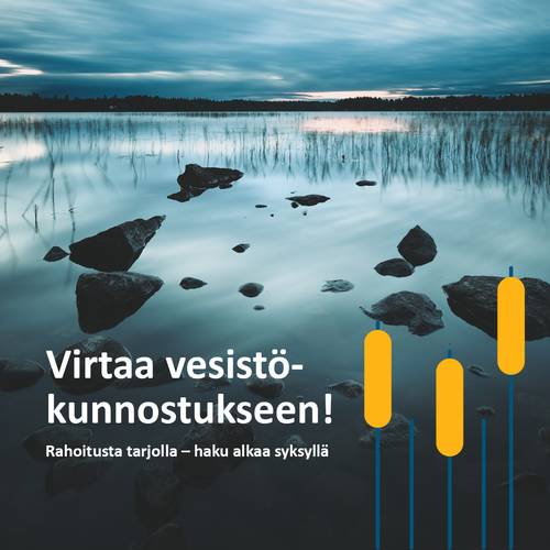 Vesistökunnostus