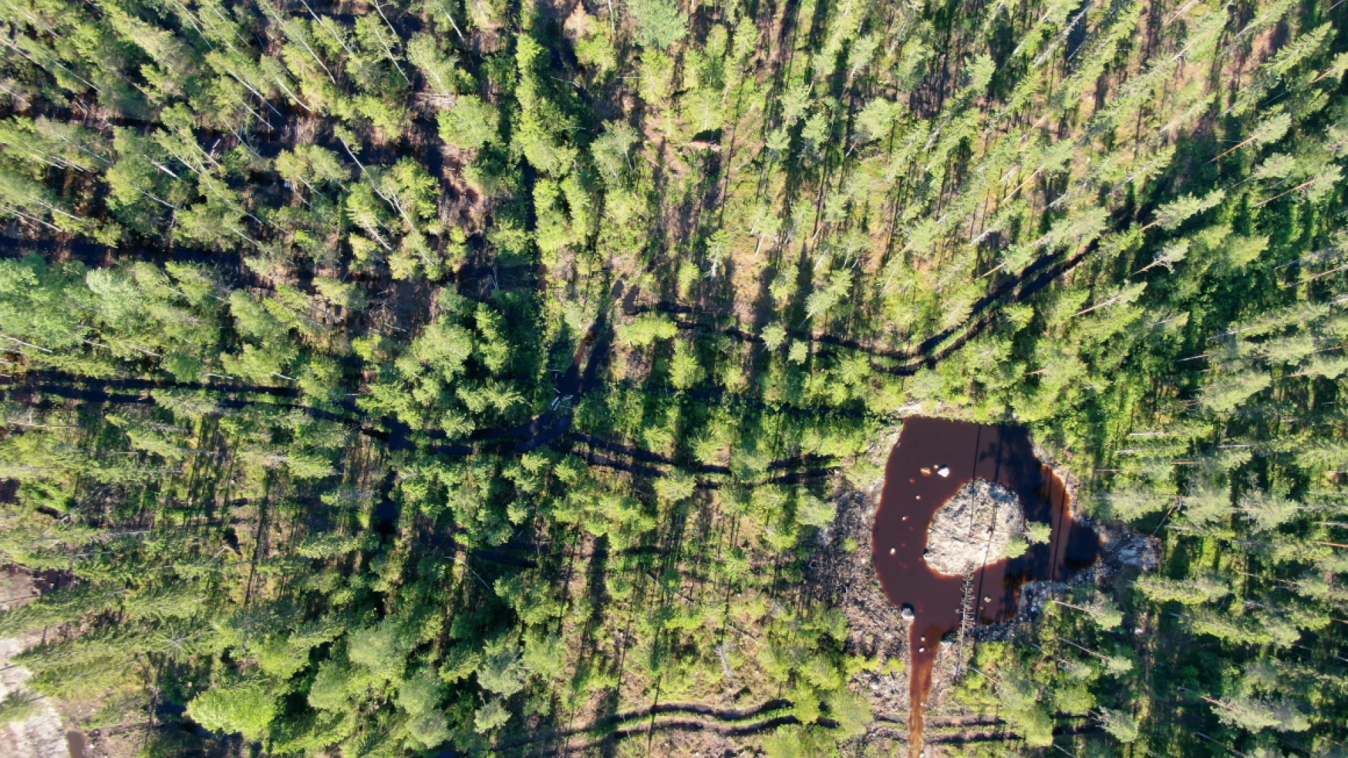 Konttisuon viivytyskosteikko droonilla kuvattuna kesällä 2024. Kuva: Tuure Kajava