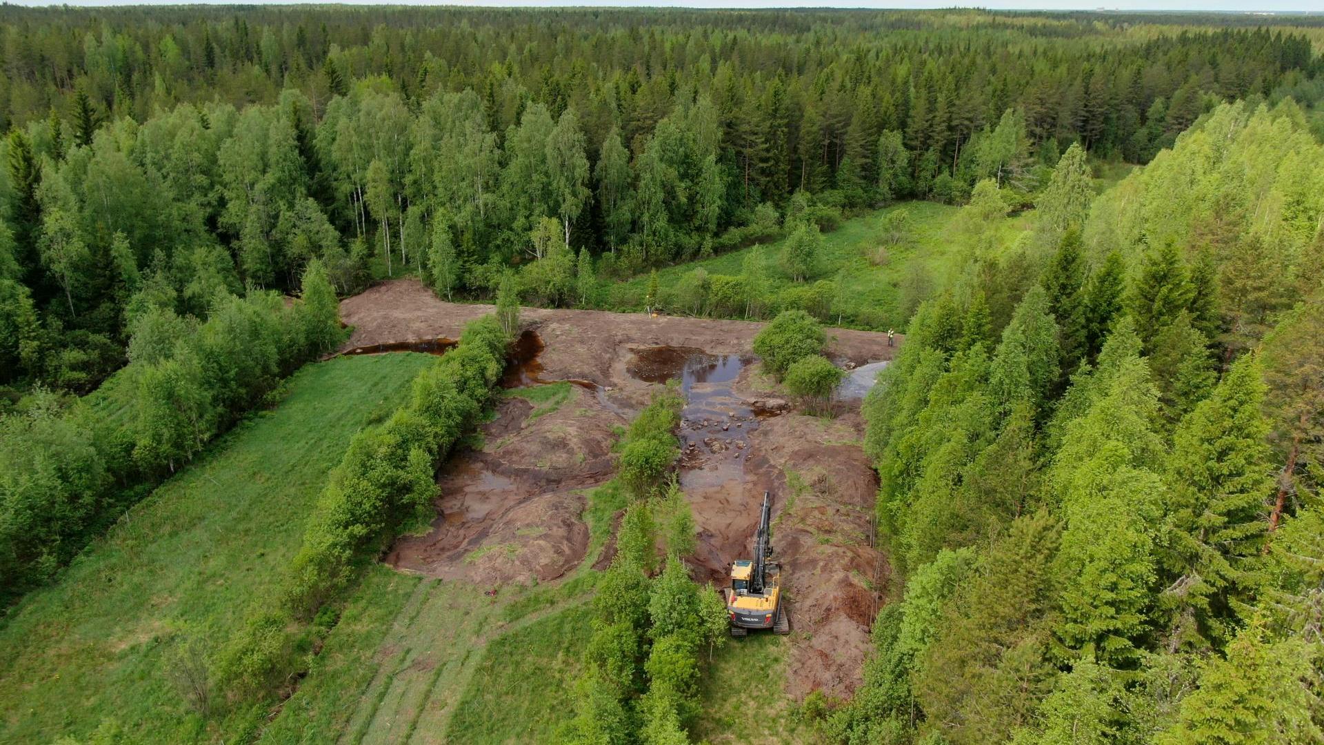 Metsäinen kosteikko