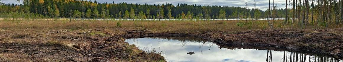 Lampinneva