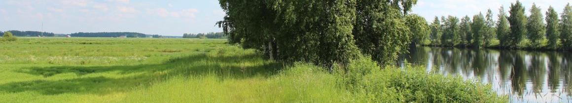 Kalajoki