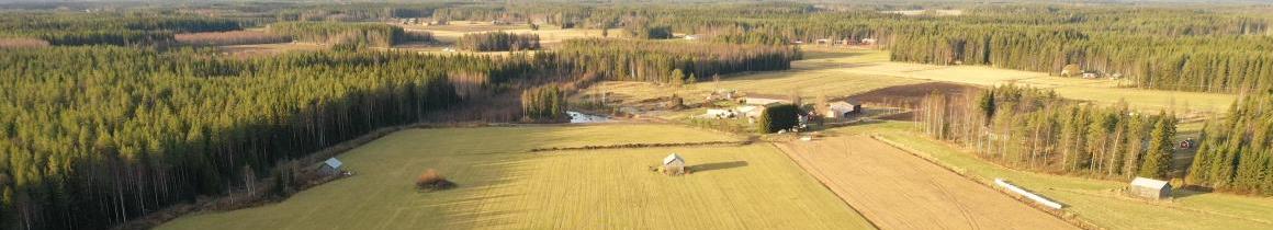 maisema