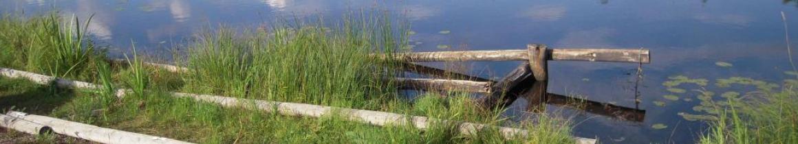 Hankesivun yläkuva Kalajoen maisemista
