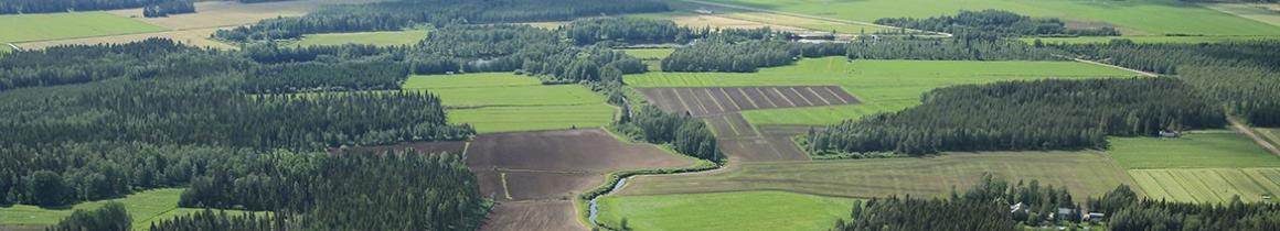 Pylväsoja