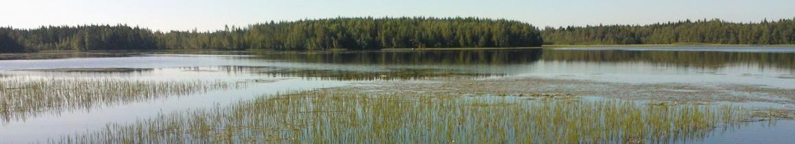 Maisema.